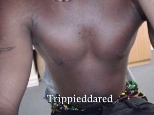 Trippieddared