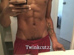 Twinkcut22