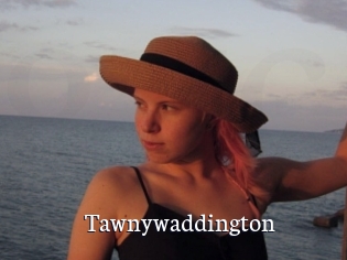 Tawnywaddington