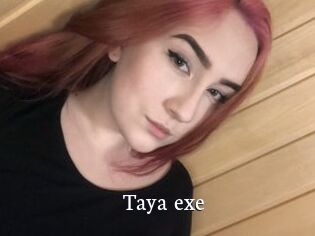 Taya_exe