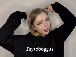 Tayteboggus