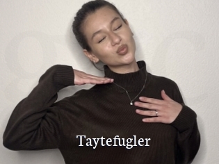 Taytefugler