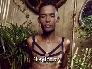 teylorray Gratis xxx Clips