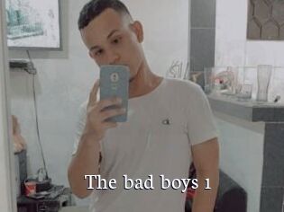 The_bad_boys_1
