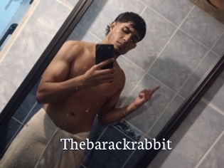 Thebarackrabbit