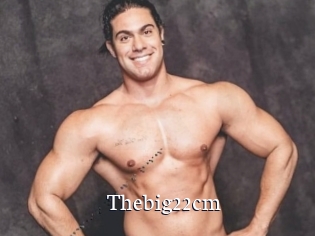 Thebig22cm