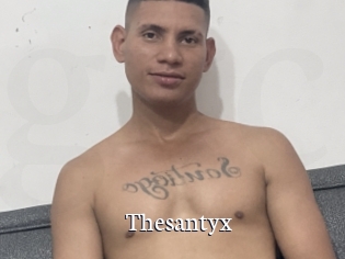 Thesantyx