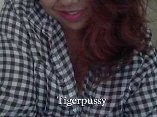 tigerpussy Gratis xxx Clips