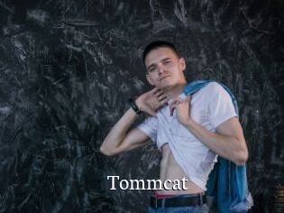 tommcat Gratis xxx Clips