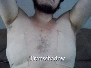 Transshadow