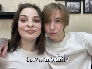 Trevisandemily