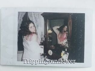 Trippingsunflower