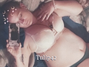 Tulip42