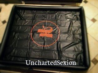 UnchartedSexion