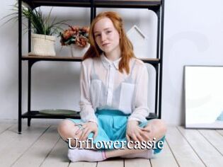 Urflowercassie