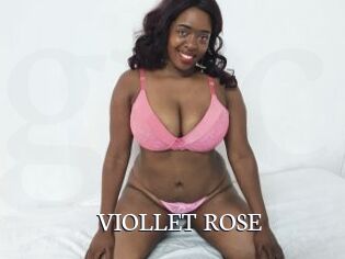 VIOLLET_ROSE