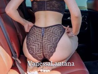 VanessaLantana