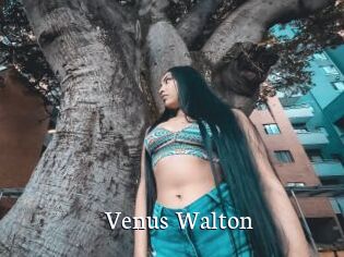 Venus_Walton