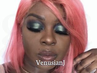 VenusianJ