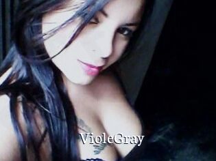 VioleGray