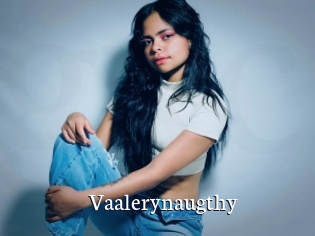 Vaalerynaugthy