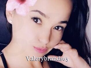 Valerybrands65