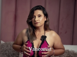 Vaneortiz
