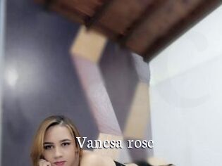 Vanesa_rose