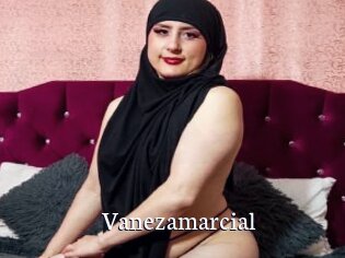 Vanezamarcial