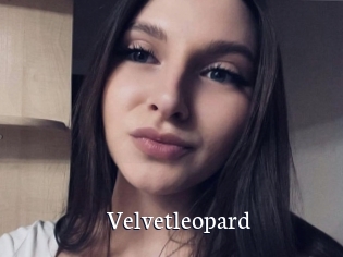 Velvetleopard