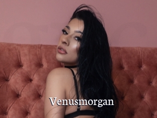 Venusmorgan
