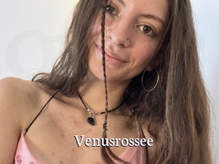 Venusrossee
