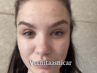 Vernitaasnicar