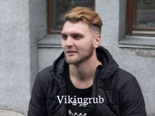 Vikingrub