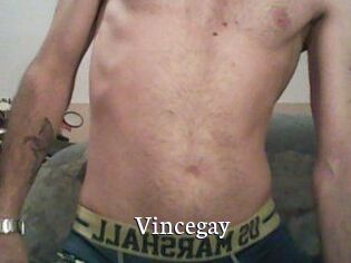 Vincegay