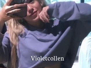 Violetcollen