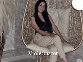Violettascot