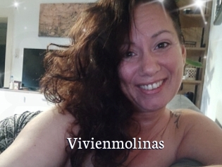 Vivienmolinas