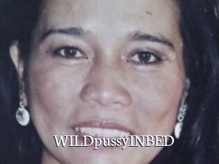 WILDpussyINBED