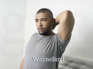WayneBoyI