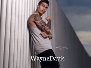 WayneDavis