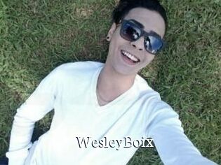 Wesley_Boix