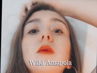 Wild_Amapola