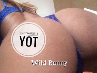 Wild_Bunny_