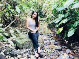 Wild_Rose18