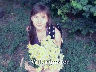 Wildcumster