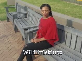 Wildlittlekittyx