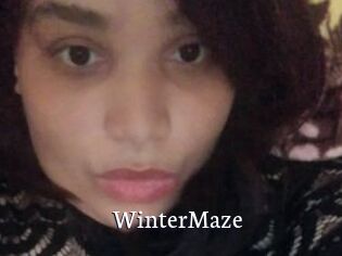 Winter_Maze