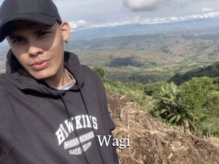 Wagi