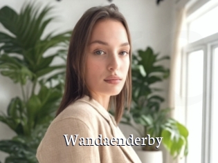 Wandaenderby